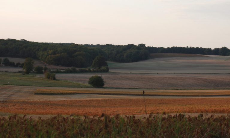 Histoire De Heugnes – Heugnes